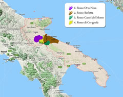 Produzione vino rosso di Puglia Produzione vino rosso di Puglia