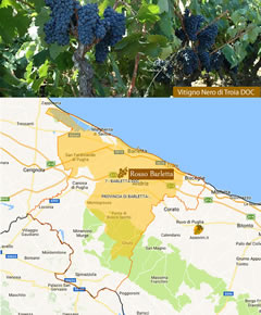 Terra di Bari – a)Vitigno Nero di Troia DOC; b) area di produzione DOC Rosso Barletta – Fonte: Assovini