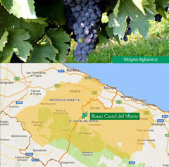 Terra di Bari – a)Vitigno Aglianico; b) area di produzione DOC Rosso Castel del Monte – Fonte: Assovini Terra di Bari – a)Vitigno Aglianico; b) area di produzione DOC Rosso Castel del Monte – Fonte: Assovini