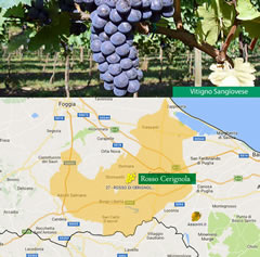 Terra di Bari – a)Vitigno Sangiovese; b) area di produzione DOC Rosso Cerignola – Fonte: Assovini