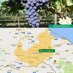 Terra di Bari – a)Vitigno Sangiovese; b) area di produzione DOC Rosso Cerignola – Fonte: Assovini Terra di Bari – a)Vitigno Sangiovese; b) area di produzione DOC Rosso Cerignola – Fonte: Assovini