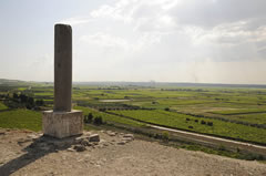 Colonna di Canne, commemorativa dei caduti romani, innalzata nel 1939 – Canne, Barletta IT0