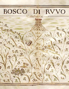Atlante delle Locazioni della Dogana delle pecore: Locatione de Andria, Castello del Monte, sec. XV Atlante delle Locazioni della Dogana delle pecore: Locatione de Andria, Castello del Monte, sec. XV