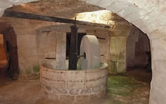 Frantoio ipogeo di Locopagliaro nel territorio di Ostuni Frantoio ipogeo di Locopagliaro nel territorio di Ostuni