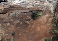 Parco Nazionale Alta Murgia – Grotta di frequentazione preistorica nel Pulo di Altamura Parco Nazionale Alta Murgia – Grotta di frequentazione preistorica nel Pulo di Altamura