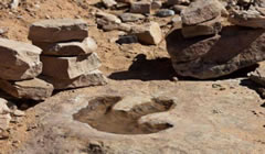Cava dei dinosauri in Alta Murgia – Altamura, Bari IT Cava dei dinosauri in Alta Murgia – Altamura, Bari IT