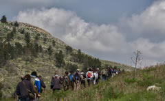Escursioni a piedi nel Parco dell'Alta Murgia, IT Escursioni a piedi nel Parco dell'Alta Murgia, IT
