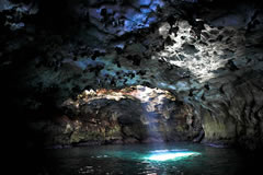 Grotta dei Colombi, apertura sulla volta – Polignano, Bari