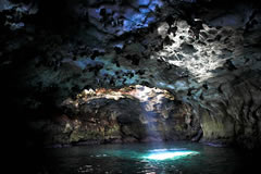 Grotta dei Colombi, apertura sulla volta – Polignano, Bari Grotta dei Colombi, apertura sulla volta – Polignano, Bari
